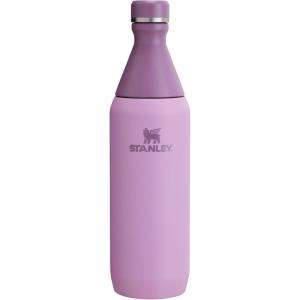 imageStanley All Day Slim Bottle 20 oz  Twist off Lid with Leakproof Seal  Slim Design for Travel and Gym  Insulated Stainless Steel Water Bottle  BPAFree  Twilight GlossLilac