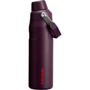 imageStanley IceFlow Fast Flow Water Bottle  Angled Spout Lid  Lightweight ampamp Leakproof for Travel ampamp Sports  Insulated Stainless Steel  BPAFreePlum