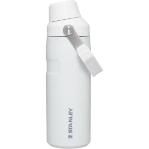 imageStanley IceFlow Fast Flow Water Bottle  Angled Spout Lid  Lightweight ampamp Leakproof for Travel ampamp Sports  Insulated Stainless Steel  BPAFreePolar