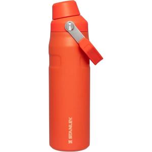 imageStanley IceFlow Fast Flow Water Bottle  Angled Spout Lid  Lightweight ampamp Leakproof for Travel ampamp Sports  Insulated Stainless Steel  BPAFreeTigerlily