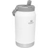 imageStanley Lilac Chug Jug 64 OuncePolar
