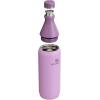 imageStanley All Day Slim Bottle 20 oz  Twist On Lid with Leakproof Seal  Slim Design for Travel ampamp Gym  Insulated Stainless Steel  BPAFree  AshLilac