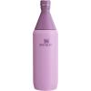 imageStanley All Day Slim Bottle 20 oz  Twist On Lid with Leakproof Seal  Slim Design for Travel ampamp Gym  Insulated Stainless Steel  BPAFree  AshLilac