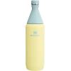 imageStanley All Day Slim Bottle 20 oz  Twist On Lid with Leakproof Seal  Slim Design for Travel ampamp Gym  Insulated Stainless Steel  BPAFree  AshPomelo