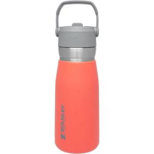 imageSTANLEY IceFlow Flip Straw Water Bottle 22 oz  BuiltIn Straw for Travel and Sports  Lightweight and Leak Resistant  Insulated Stainless Steel  BPAFree  PolarGuava