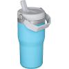 image:imageSTANLEY IceFlow 20 Flip Straw Tumbler with Handle 30 oz  Twist On Lid and Flip Up Straw  Leakproof Water Bottle  Insulated Stainless Steel  BPAFree  DaffodilPool
