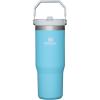 image:imageSTANLEY IceFlow 20 Flip Straw Tumbler with Handle 30 oz  Twist On Lid and Flip Up Straw  Leakproof Water Bottle  Insulated Stainless Steel  BPAFree  DaffodilPool