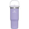image:imageSTANLEY IceFlow 20 Flip Straw Tumbler with Handle 30 oz  Twist On Lid and Flip Up Straw  Leakproof Water Bottle  Insulated Stainless Steel  BPAFree  DaffodilLavender