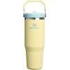 image:imageSTANLEY IceFlow 20 Flip Straw Tumbler with Handle 30 oz  Twist On Lid and Flip Up Straw  Leakproof Water Bottle  Insulated Stainless Steel  BPAFree  DaffodilPomelo
