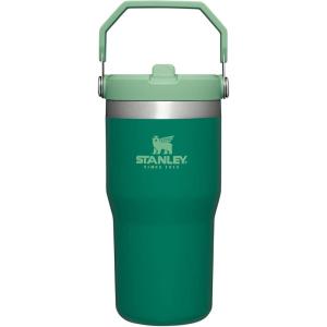image:imageSTANLEY IceFlow 20 Flip Straw Tumbler with Handle 30 oz  Twist On Lid and Flip Up Straw  Leakproof Water Bottle  Insulated Stainless Steel  BPAFree  DaffodilAlpine