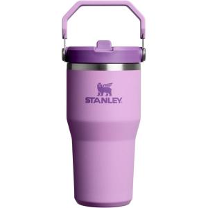 image:imageSTANLEY IceFlow 20 Flip Straw Tumbler with Handle 30 oz  Twist On Lid and Flip Up Straw  Leakproof Water Bottle  Insulated Stainless Steel  BPAFree  DaffodilLilac