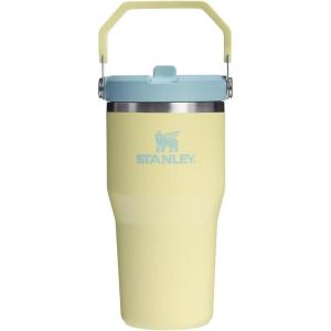 image:imageSTANLEY IceFlow 20 Flip Straw Tumbler with Handle 30 oz  Twist On Lid and Flip Up Straw  Leakproof Water Bottle  Insulated Stainless Steel  BPAFree  DaffodilPomelo
