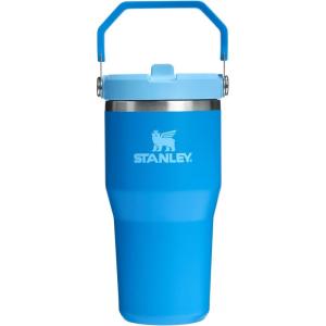 image:imageSTANLEY IceFlow 20 Flip Straw Tumbler with Handle 30 oz  Twist On Lid and Flip Up Straw  Leakproof Water Bottle  Insulated Stainless Steel  BPAFree  DaffodilAzure