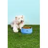 image:imageSTANLEY Pet Bowl  6Cup 48 oz Insulated Stainless Steel Dog amp Cat Bowl  SplashResistant Lid  Dishwasher Safe  BPAFree  Blue SkyBlue Sky