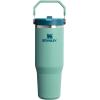 image:imageSTANLEY IceFlow 20 Flip Straw Tumbler with Handle 14 oz  Twist On Lid and Flip Up Straw  Leakproof Water Bottle  Insulated Stainless Steel  BPAFree  AshSpring Green