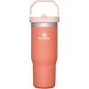 image:imageSTANLEY IceFlow 20 Flip Straw Tumbler with Handle 14 oz  Twist On Lid and Flip Up Straw  Leakproof Water Bottle  Insulated Stainless Steel  BPAFree  AshGrapefruit
