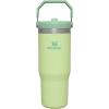 image:imageSTANLEY IceFlow 20 Flip Straw Tumbler with Handle 14 oz  Twist On Lid and Flip Up Straw  Leakproof Water Bottle  Insulated Stainless Steel  BPAFree  AshCitron