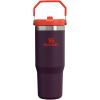 image:imageSTANLEY IceFlow 20 Flip Straw Tumbler with Handle 14 oz  Twist On Lid and Flip Up Straw  Leakproof Water Bottle  Insulated Stainless Steel  BPAFree  AshPlum