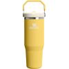image:imageSTANLEY IceFlow 20 Flip Straw Tumbler with Handle 14 oz  Twist On Lid and Flip Up Straw  Leakproof Water Bottle  Insulated Stainless Steel  BPAFree  AshDaffodil
