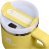 image:imageSTANLEY Quencher H20 Tumbler with Handle and Straw 30 oz  Flowstate 3Position Lid  Cup Holder Compatible for Travel  Insulated Stainless Steel Cup  BPAFree  Sahara PlumeDaffodil
