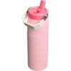 image:imageStanley IceFlow Flip Straw 20 Water Bottle 24 OZ  BuiltIn Straw with Larger Opening  Lightweight amp LeakResistant  Insulated Stainless Steel  BPAFree  Blue SkyStrawberry Cream