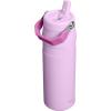 image:imageStanley IceFlow Flip Straw 20 Water Bottle 24 OZ  BuiltIn Straw with Larger Opening  Lightweight amp LeakResistant  Insulated Stainless Steel  BPAFree  Blue SkySoft Orchid