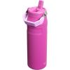 image:imageStanley IceFlow Flip Straw 20 Water Bottle 24 OZ  BuiltIn Straw with Larger Opening  Lightweight amp LeakResistant  Insulated Stainless Steel  BPAFree  Blue SkyDark Blossom
