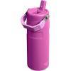 image:imageStanley IceFlow Flip Straw 20 Water Bottle 24 OZ  BuiltIn Straw with Larger Opening  Lightweight amp LeakResistant  Insulated Stainless Steel  BPAFree  Blue SkyDark Blossom
