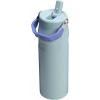 image:imageStanley IceFlow Flip Straw 20 Water Bottle 24 OZ  BuiltIn Straw with Larger Opening  Lightweight amp LeakResistant  Insulated Stainless Steel  BPAFree  Blue SkyExclusive Blue Cactus