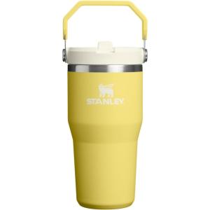 image:imageSTANLEY IceFlow 20 Flip Straw Tumbler with Handle 14 oz  Twist On Lid and Flip Up Straw  Leakproof Water Bottle  Insulated Stainless Steel  BPAFree  AshDaffodil