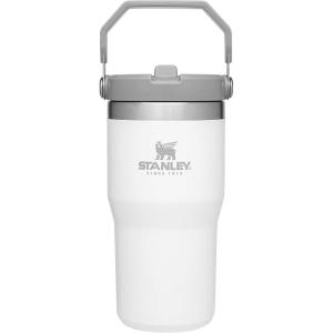 image:imageSTANLEY IceFlow 20 Flip Straw Tumbler with Handle 14 oz  Twist On Lid and Flip Up Straw  Leakproof Water Bottle  Insulated Stainless Steel  BPAFree  AshPolar