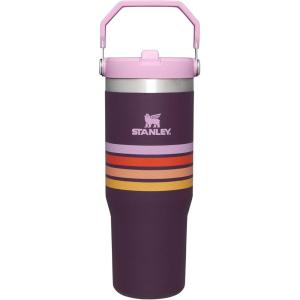 image:imageSTANLEY IceFlow 20 Flip Straw Tumbler with Handle 14 oz  Twist On Lid and Flip Up Straw  Leakproof Water Bottle  Insulated Stainless Steel  BPAFree  AshPlum Stripe