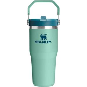 image:imageSTANLEY IceFlow 20 Flip Straw Tumbler with Handle 14 oz  Twist On Lid and Flip Up Straw  Leakproof Water Bottle  Insulated Stainless Steel  BPAFree  AshSpring Green
