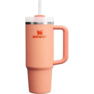 image:imageSTANLEY Quencher H20 Tumbler with Handle and Straw 30 oz  Flowstate 3Position Lid  Cup Holder Compatible for Travel  Insulated Stainless Steel Cup  BPAFree  Sahara PlumeNectarine
