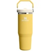 image:imageSTANLEY IceFlow 20 Flip Straw Tumbler with Handle 30 oz  Twist On Lid and Flip Up Straw  Leak Resistant Water Bottle  Insulated Stainless Steel  BPAFree  Team Navy RedDaffodil