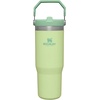 image:imageSTANLEY IceFlow 20 Flip Straw Tumbler with Handle 30 oz  Twist On Lid and Flip Up Straw  Leak Resistant Water Bottle  Insulated Stainless Steel  BPAFree  Team Navy RedCitron