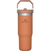 image:imageSTANLEY IceFlow 20 Flip Straw Tumbler with Handle 30 oz  Twist On Lid and Flip Up Straw  Leak Resistant Water Bottle  Insulated Stainless Steel  BPAFree  Team Navy RedOchre