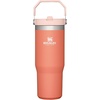 image:imageSTANLEY IceFlow 20 Flip Straw Tumbler with Handle 30 oz  Twist On Lid and Flip Up Straw  Leak Resistant Water Bottle  Insulated Stainless Steel  BPAFree  Team Navy RedGrapefruit