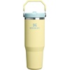 image:imageSTANLEY IceFlow 20 Flip Straw Tumbler with Handle 30 oz  Twist On Lid and Flip Up Straw  Leak Resistant Water Bottle  Insulated Stainless Steel  BPAFree  Team Navy RedPomelo