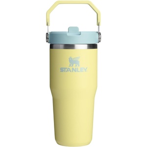image:imageSTANLEY IceFlow 20 Flip Straw Tumbler with Handle 30 oz  Twist On Lid and Flip Up Straw  Leak Resistant Water Bottle  Insulated Stainless Steel  BPAFree  Team Navy RedPomelo