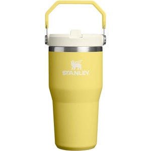 image:imageSTANLEY IceFlow 20 Flip Straw Tumbler with Handle 30 oz  Twist On Lid and Flip Up Straw  Leak Resistant Water Bottle  Insulated Stainless Steel  BPAFree  Team Navy RedDaffodil