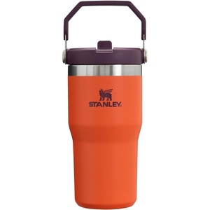 image:imageSTANLEY IceFlow 20 Flip Straw Tumbler with Handle 30 oz  Twist On Lid and Flip Up Straw  Leak Resistant Water Bottle  Insulated Stainless Steel  BPAFree  Team Navy RedTigerlily Plum
