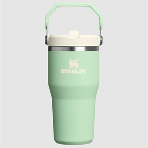 image:imageSTANLEY IceFlow 20 Flip Straw Tumbler with Handle 30 oz  Twist On Lid and Flip Up Straw  Leak Resistant Water Bottle  Insulated Stainless Steel  BPAFree  Team Navy RedPistachio