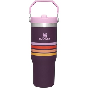 image:imageSTANLEY IceFlow 20 Flip Straw Tumbler with Handle 30 oz  Twist On Lid and Flip Up Straw  Leak Resistant Water Bottle  Insulated Stainless Steel  BPAFree  Team Navy RedPlum Stripe