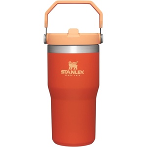 image:imageSTANLEY IceFlow 20 Flip Straw Tumbler with Handle 30 oz  Twist On Lid and Flip Up Straw  Leak Resistant Water Bottle  Insulated Stainless Steel  BPAFree  Team Navy RedTigerlily