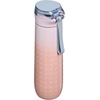 image:imageSTANLEY Flowstate Spring Bottle  Leakproof Water Bottle with Carry Strap amp FlipTop Locking Lid  Insulated Stainless Steel  Fits Most Cup Holders  BPAFree  20 oz  ChampagneSorbet Plus