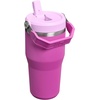 image:imageSTANLEY IceFlow 20 Flip Straw Tumbler with Handle 20 oz  Twist On Lid and Flip Up Straw  Leak Resistant Water Bottle  Insulated Stainless Steel  BPAFree  Stainless Steel AshDark Blossom