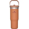 image:imageSTANLEY IceFlow 20 Flip Straw Tumbler with Handle 20 oz  Twist On Lid and Flip Up Straw  Leak Resistant Water Bottle  Insulated Stainless Steel  BPAFree  Stainless Steel AshOchre