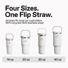 image:imageSTANLEY IceFlow 20 Flip Straw Tumbler with Handle 20 oz  Twist On Lid and Flip Up Straw  Leak Resistant Water Bottle  Insulated Stainless Steel  BPAFree  Stainless Steel AshDaffodil Emerald