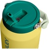 image:imageSTANLEY IceFlow 20 Flip Straw Tumbler with Handle 20 oz  Twist On Lid and Flip Up Straw  Leak Resistant Water Bottle  Insulated Stainless Steel  BPAFree  Stainless Steel AshDaffodil Emerald